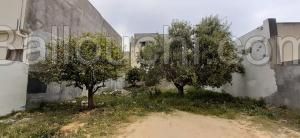 Nabeul,un Terrain de 222m² a vendre avec un titre foncier