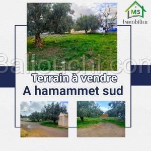 à vendre un superbe terrain à hammamet sud 51333131