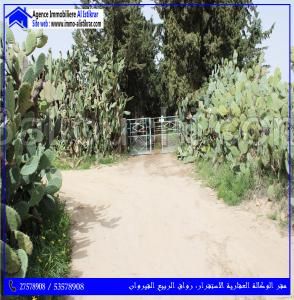 للبيع سانية بولاية القيروان
