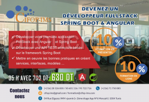 Formation pratique en Angular Spring