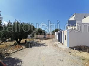 à vendre un terrain à birbouragba 51333131
