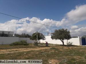 Un superbe terrain à vendre à Hammamet 51355351
