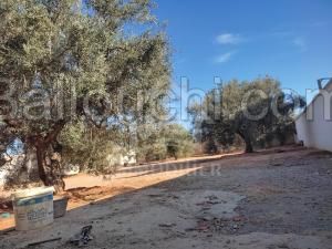 Terrain clôturé à vendre à Hammamet Sud à 175 MD 51355351
