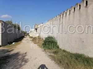 Un terrain de 1000 m² à vendre à 180 MD à Hammamet 51355351