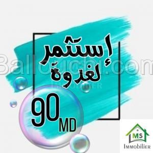à VENDRE UN TERRAIN à HAMMAMET SUD 51333131