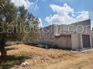 Un terrain de 220 m² à vendre à 120 MD à Mrezga 51355351