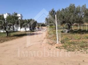 Un superbe terrain à vendre à Hammamet 51355351