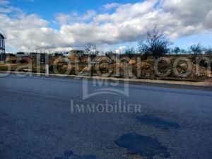 à VENDRE UN TERRAIN à HAMMAMET SUD 51333131