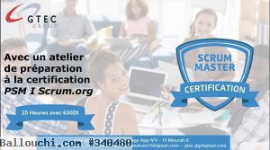 Promo Formation Scrum Master