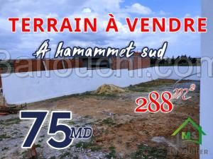 à vendre un terrain à hammamet sud 51333131