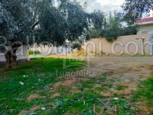 à vendre un terrain à HAMMAMET SUD 51333131