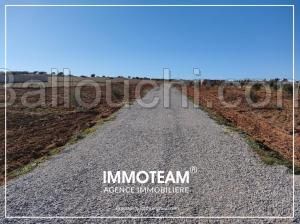 Terrain à vendre Ibtihel 00216 21 256 253