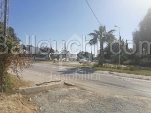 à VENDRE UN TERRAIN à HAMMAMET CENTRE 51333131