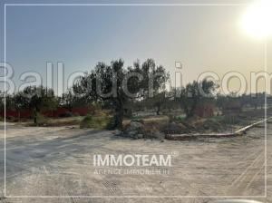 Terrain à vendre Ibtihel 00216 21 256 253