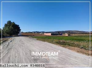 Terrain à vendre Ibtihel 00216 21 256 253