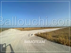 Terrain à vendre Ibtihel 00216 21 256 253