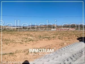 Terrain à vendre Ibtihel 00216 21 256 253