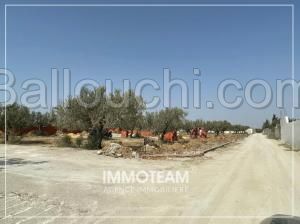 Terrain à vendre Ibtihel 00216 21 256 253