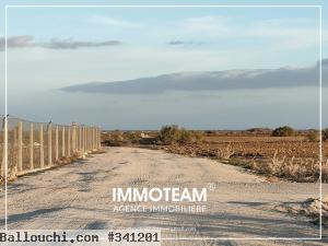 Terrain à vendre IBTIHEL 00216 21 256 253