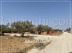 Terrain à vendre IBTIHEL 21.256.253