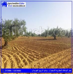 للبيع ارض فلاحية بالخزازية القيروان