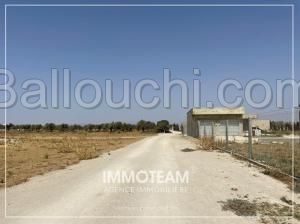 Terrain à vendre IBTIHEL 21.256.253