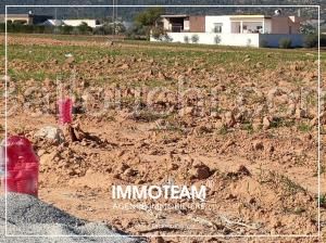 Terrain à vendre IBTIHEL 21.256.253
