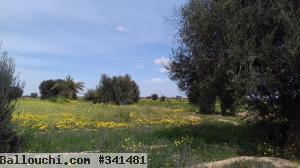 Terrain de 5.7 hectares Isned