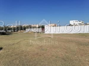 un Superbe TERRAIN à VENDRE à HAMMAMET SUD 51333131