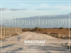 Terrain à vendre IBTIHEL 21.256.253