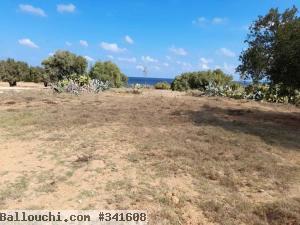Terrain a vendre a teboulba