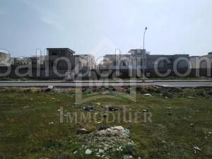 UN Terrain Viabilisé à Vendre à NABEUL 51333131