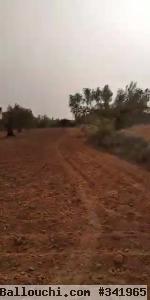 Terrain agricole avec titre bleu