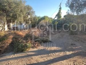 à Vendre UN TERRAIN à HAMMAMET 51333131