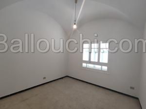 V248 Dar MANA HA CENTRE