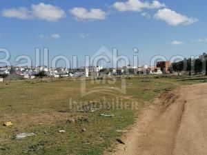 Un lot de terrain de 258 m² à vendre à Hammamet 51355351