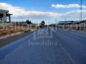 Terrain de 900 m² à vendre à Hammamet Sud 51355351