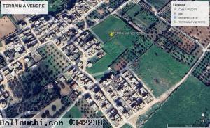 terrain a vendre