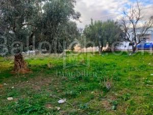 UN Superbe Terrain à Vendre à HAMMAMET SUD 51333131