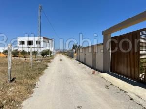 Un terrain à vendre 29256234