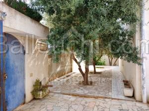 à vendre une maison à HAMMAMET NORD 51333131
