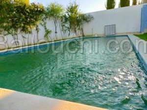 Luxueuse villa avec piscine et jardin à vendre à Hammamet Nord 51355351