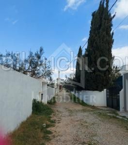 à VENDRE un Terrain à HAMMAMET 51333131