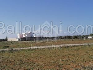 Terrain de 557 m² à vendre à 90 MD à Hammamet Sud 51355351