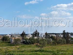 à Vendre un Terrain à Hammamet sud 51333131