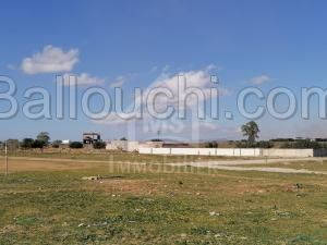à vendre un Lotissement de Terrain à Hammamet 51333131