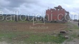 Terrain de 1000 m² à vendre à Hammamet Sud à 150 MD 51355351