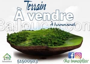 Un lot de terrain à vendre à 25.5 MD à Hammamet Sud 51355351