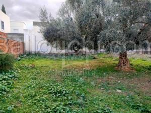 à Vendre un Terrain à HAMMAMET SUD 51333131