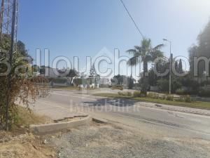 à Vendre un Terrain à corniche Hammamet 51333131